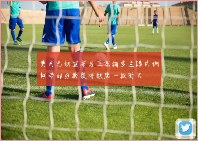 费内巴切宣布后卫塞梅多左膝内侧韧带部分撕裂将缺席一段时间